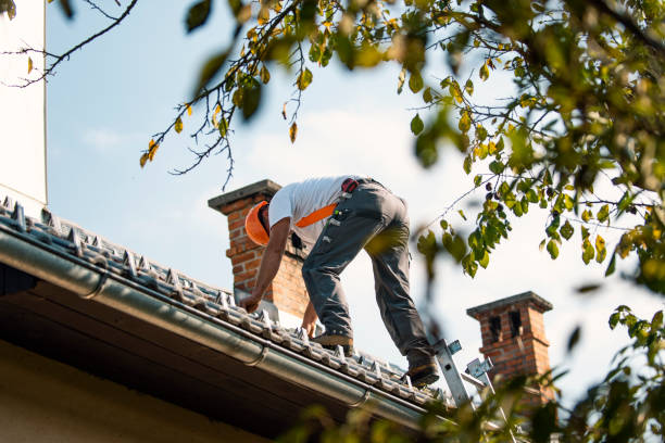 Best Metal Roofing Contractor  in Griswold, IA